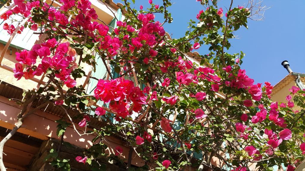 Hostellerie Provencale Port-Cros Exterior photo